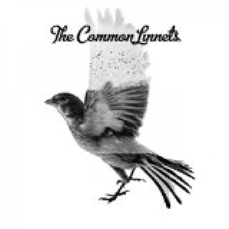 THE COMMON LINNETS