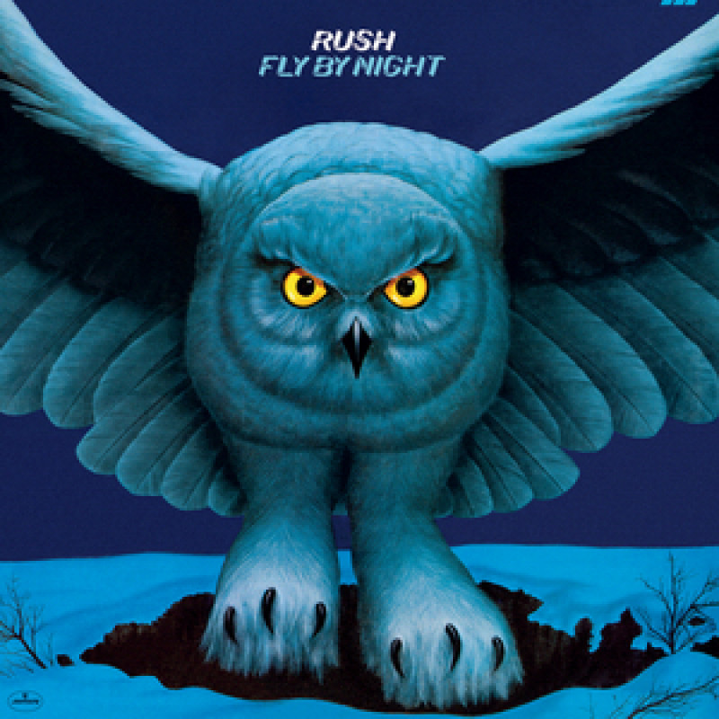 FLY BY NIGHT