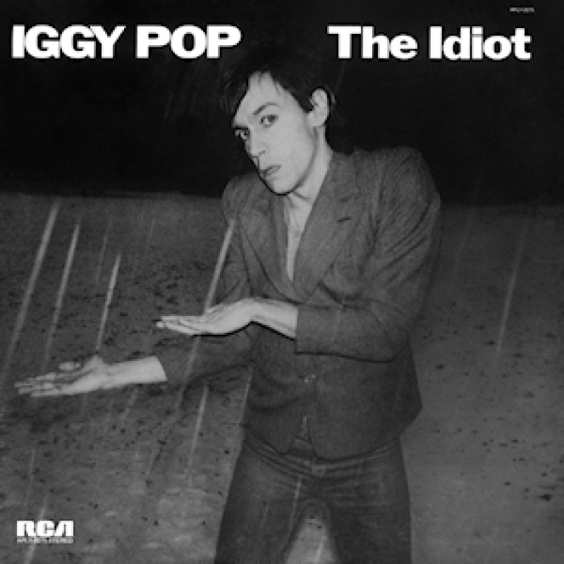 IDIOT