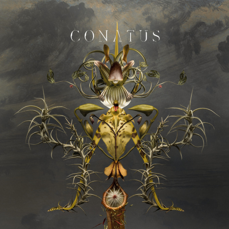 CONATUS