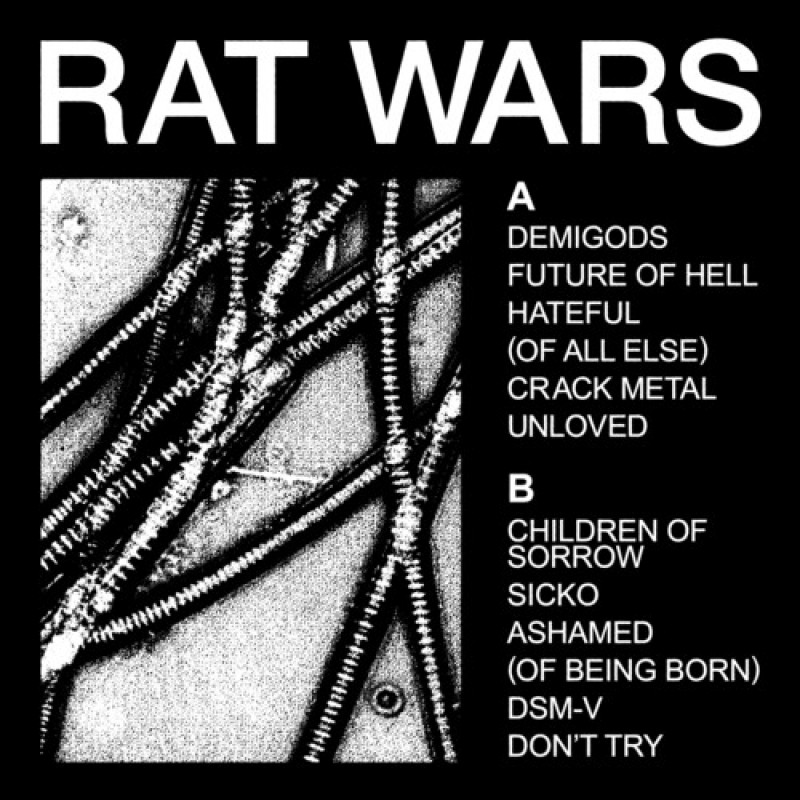 RAT WARS