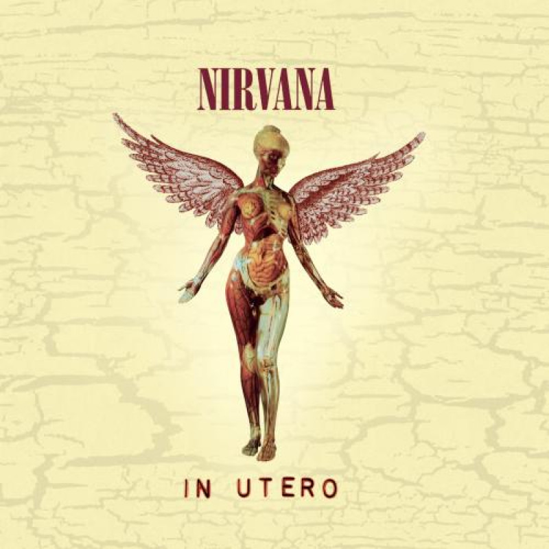 IN UTERO