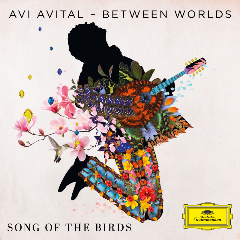 SONG OF THE BIRDS