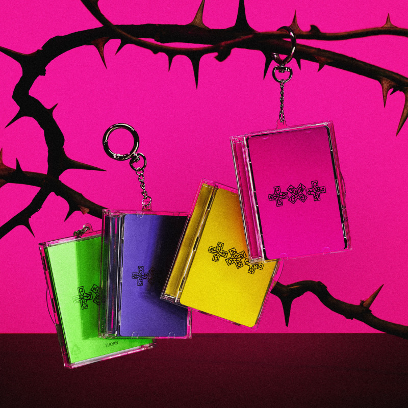 7TH YEAR: A Moment of Stillness in the Thorns: Photocard Case Ver.